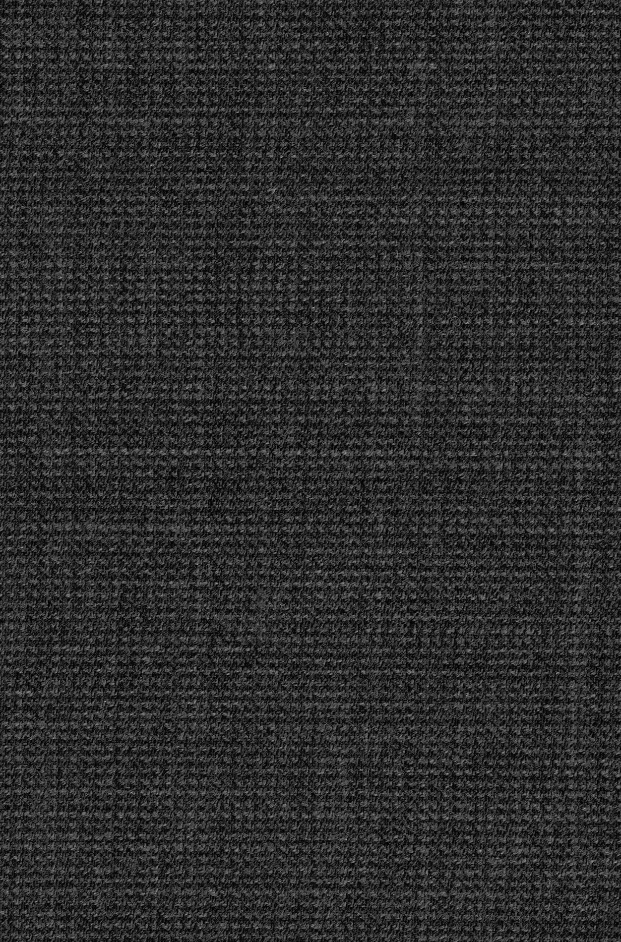 Shropshire Grey Tuxedo