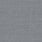 Light Grey Suit